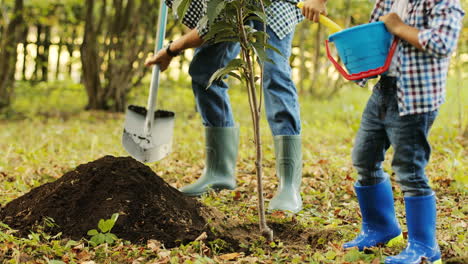 Closeup.-Portrait-of-a-little-boy-and-his-dad-planting-a-tree.-Together-they-put-the-soil-on-the-roots-of-the-tree.-Dad-tells-something-to-his-son.-Blurred-background